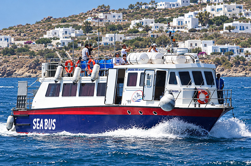 Mykonos Sea Bus to Mykonos Town for travelers staying near the port before an early ferry from Mykonos mykonos-sea-bus-from-port--to-mykonos-town-makisplacehotel